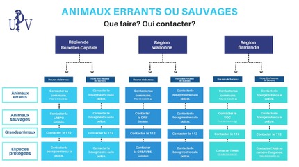 Que faire ? Qui contacter ?
